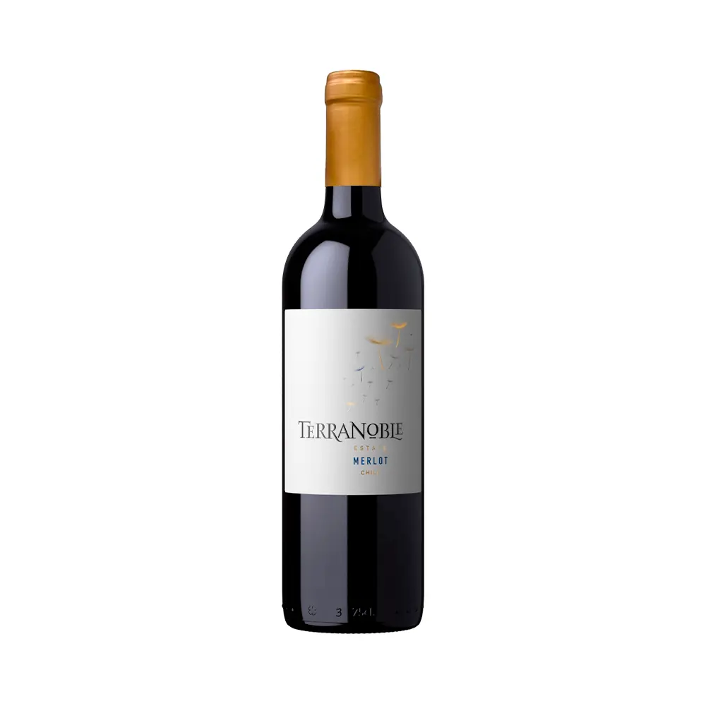 P880349-1.webp Vino Terranoble Merlot 750ml - Imagen 1
