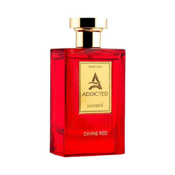 Perfume Hamidi Addicted Divine Parfum 110ml - Femenino - Imagen 2