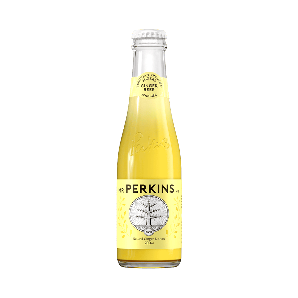P8990692 Mr Perkins Ginger Beer - 200ml - Imagen 1